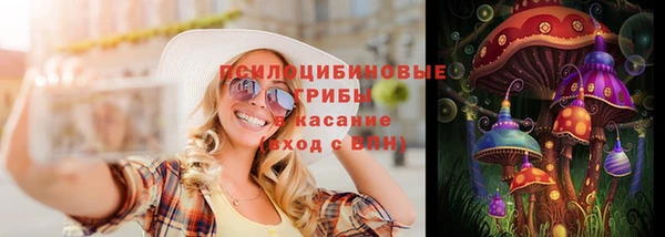 хмурый Арсеньев