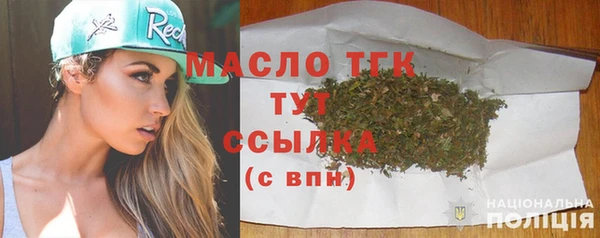 хмурый Арсеньев
