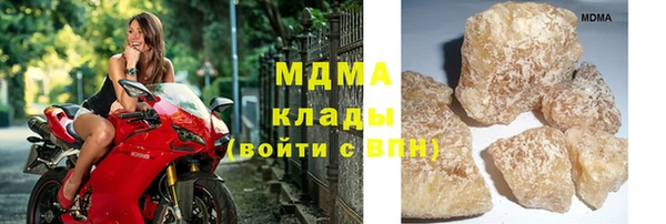 хмурый Арсеньев