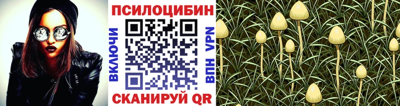 продажа наркотиков  Семёнов  Псилоцибиновые грибы Psilocybine cubensis 